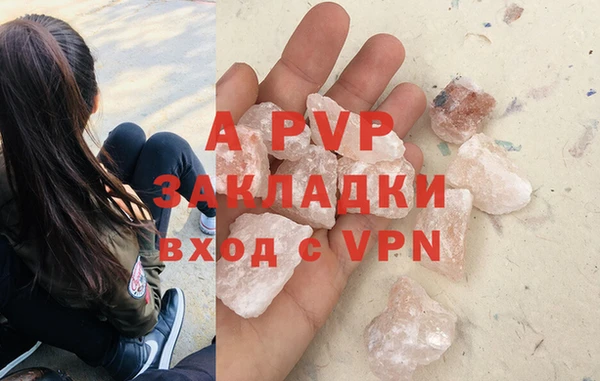 a pvp Бородино