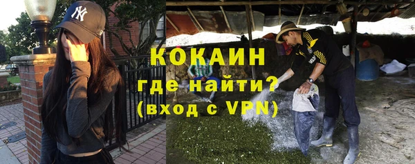 дурь Бронницы
