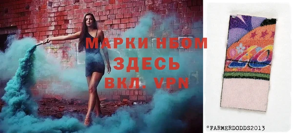 стаф Заполярный
