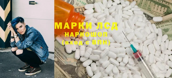 стаф Заполярный