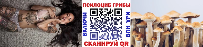 Псилоцибиновые грибы мицелий  купить   Наро-Фоминск 